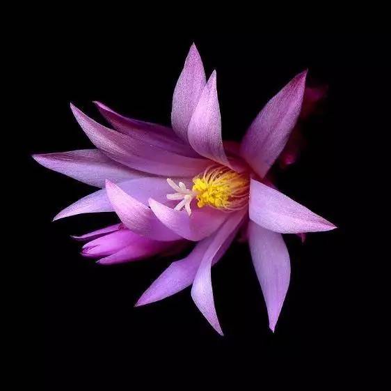 免费的数据恢复大师_大师恢复免费数据的方法_恢复大师能恢复多久的记录