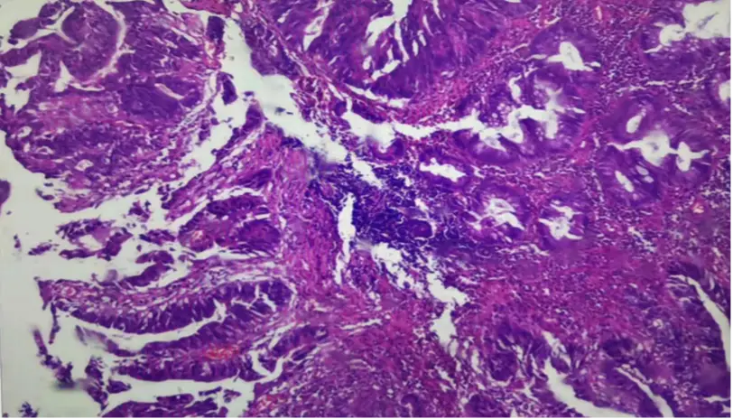 朝阳火车站妇产科医院_朝阳市火车站疫苗接种点_朝阳火车站问事处电话