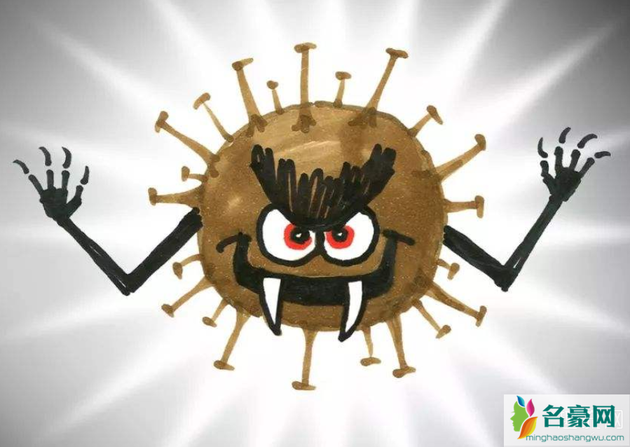 文件病毒主要类型_文件型病毒分为_病毒的文件类型