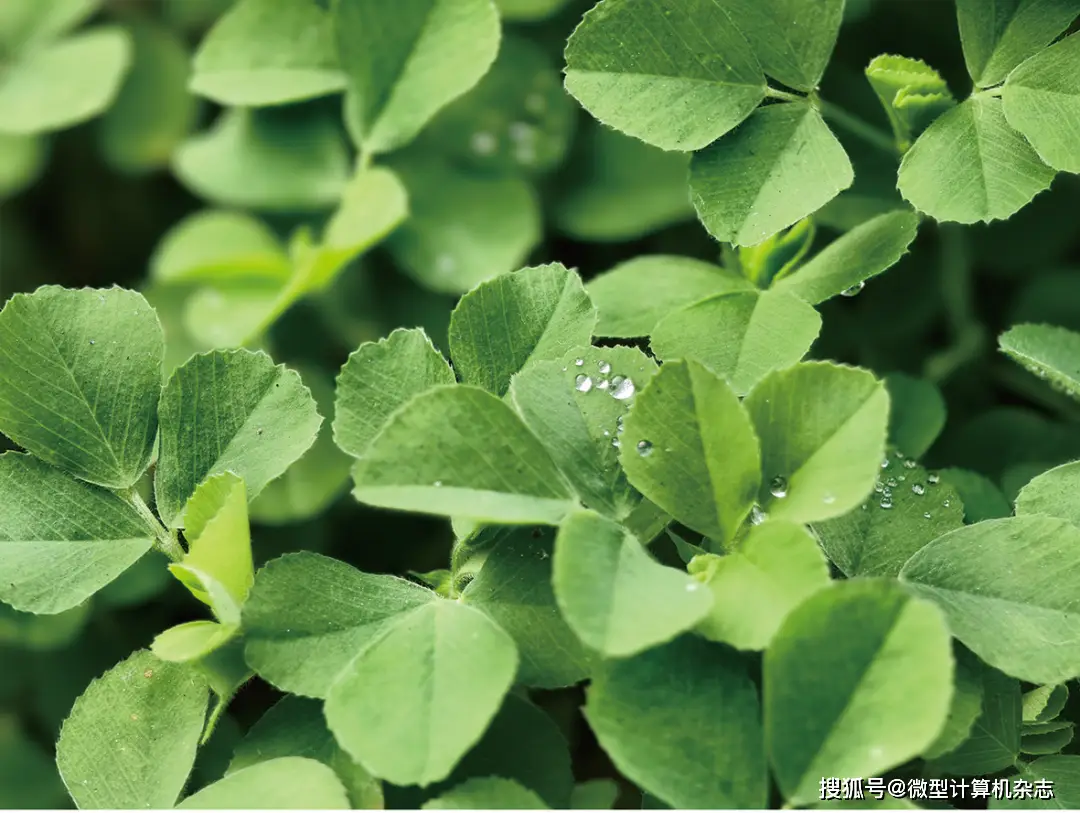 wphone_wphone手表_wphone线刷