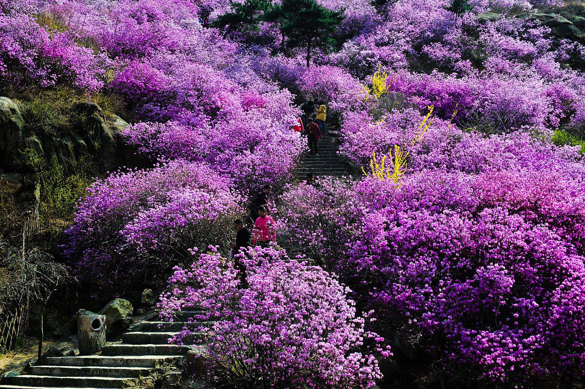 redflags歌曲_REDFLAG翻译_redflag