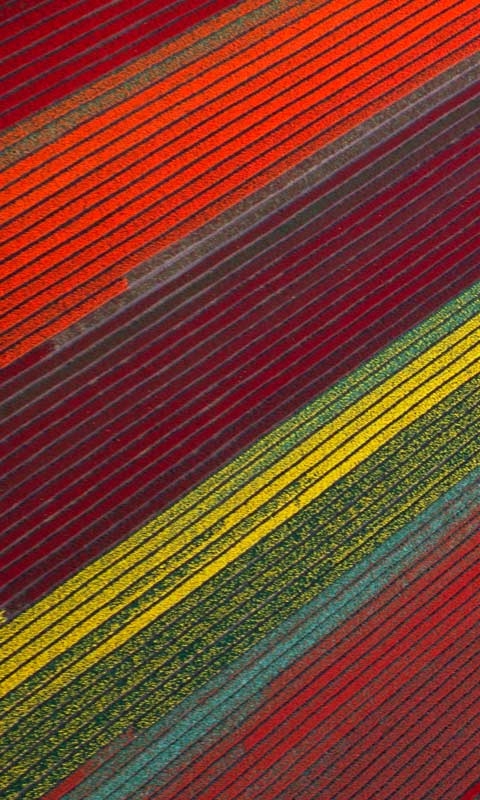 recovermyfilesv3.98中文版_中文版的_中文版的《奇异恩典》