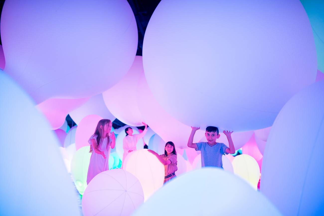 ecosystem for maya v12_ecosystem for maya v12_ecosystem for maya v12