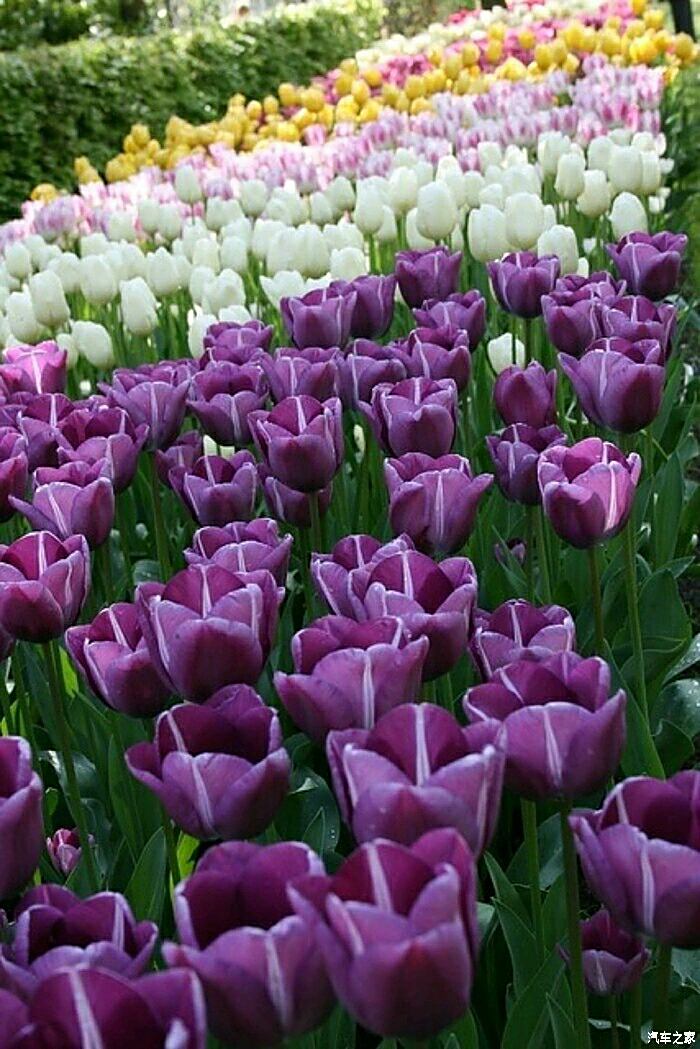 中国电信全球眼下载_中国电信全球眼视频监控平台_电信全球眼企业客户端