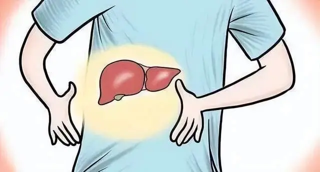 肝硬化腹水饮食原则_肝硬化饮食腹水怎么调理_肝硬化肝腹水饮食