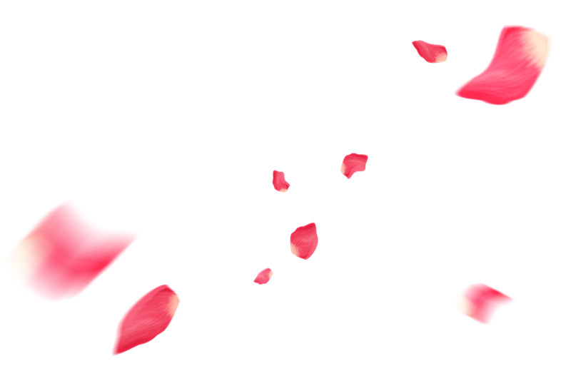 移动互联网舆情监控平台合作建设方案_互联网舆情监控软件_舆情监控服务方案