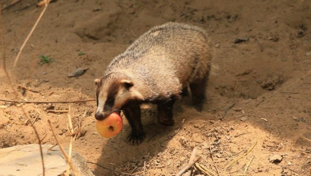 易淘分销购物中心网_易分销开发文档_分销王 易分销