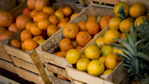 windows host process-Windows 主机进程：svchost.exe 既是系统