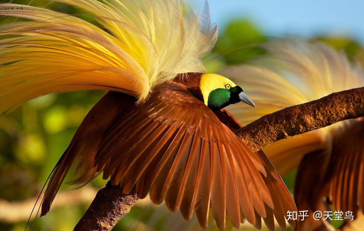 bootproto none-bootprotonone 如何影响网络设置？让你的电脑与世隔绝？