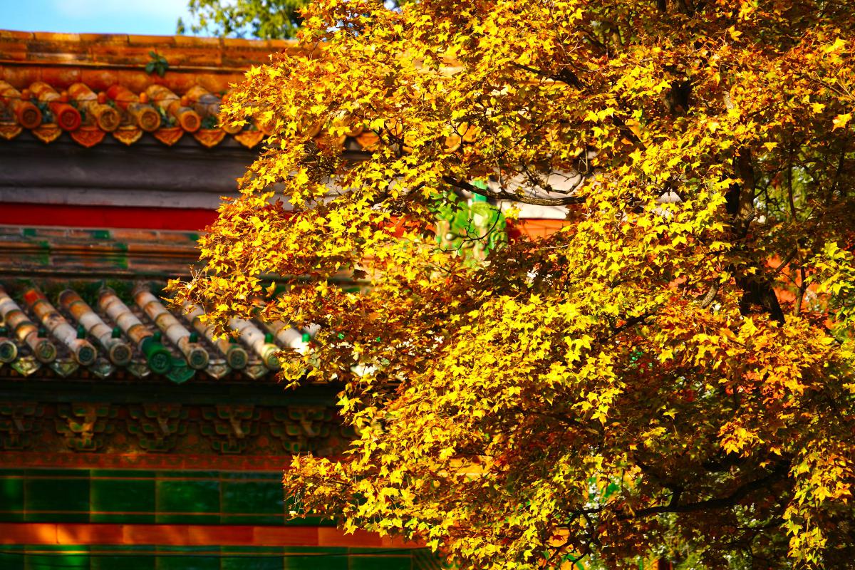 北京人民医院是什么街道_北京人民村属于哪个街道_北京各区人民