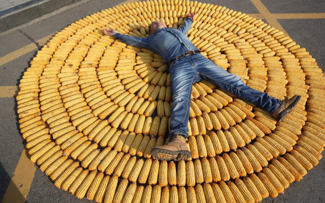 18岁身份证大全男-18 岁男生的身份证：青春通行证与责任的象征