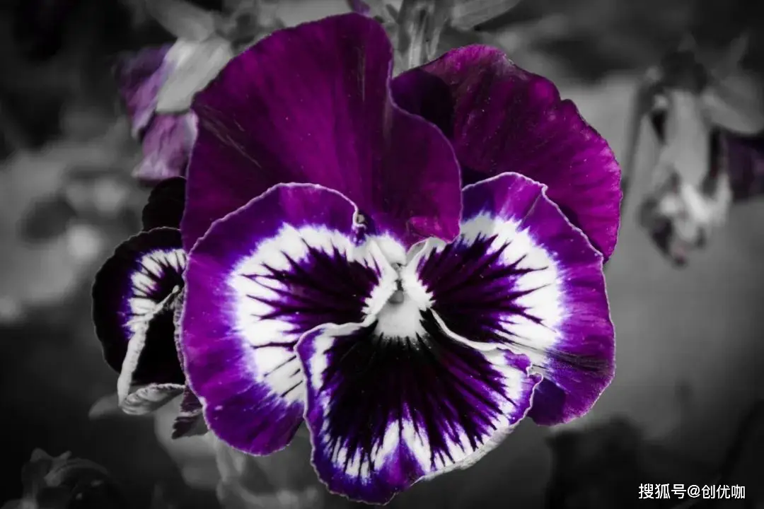 打造个性小天地，我的独立网上商城诞生记