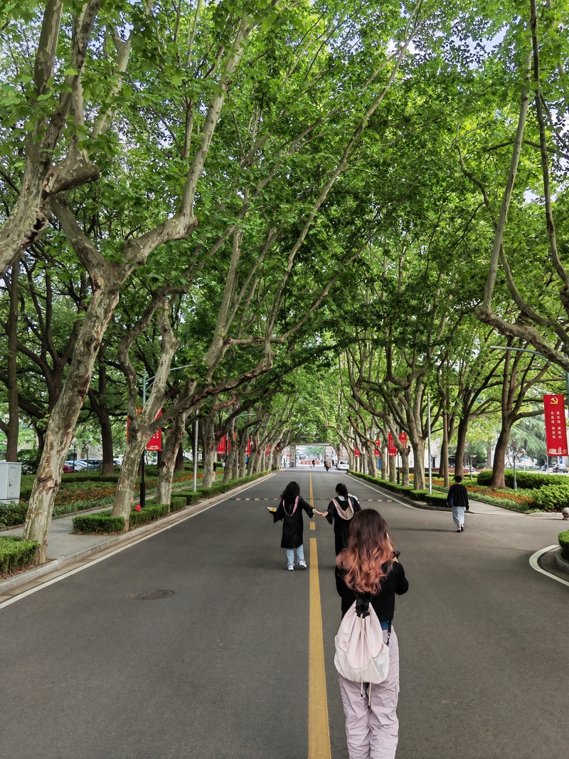 复旦大学寝室图片-复旦大学寝室照片背后的故事：从憧憬到坚持的成长之路