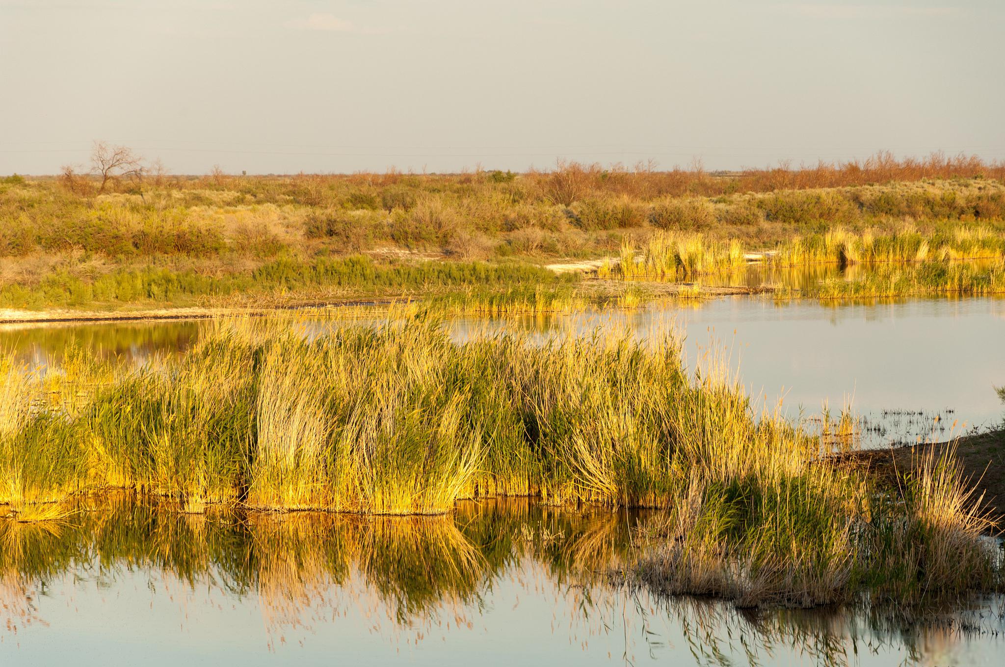 帝国模板制作教程_帝国模板怎么安装_帝国cms模板网