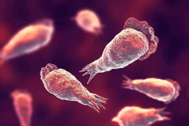 治疗罗恩克医院好吗_治疗克罗恩最好的医院_罗克恩病能治好吗