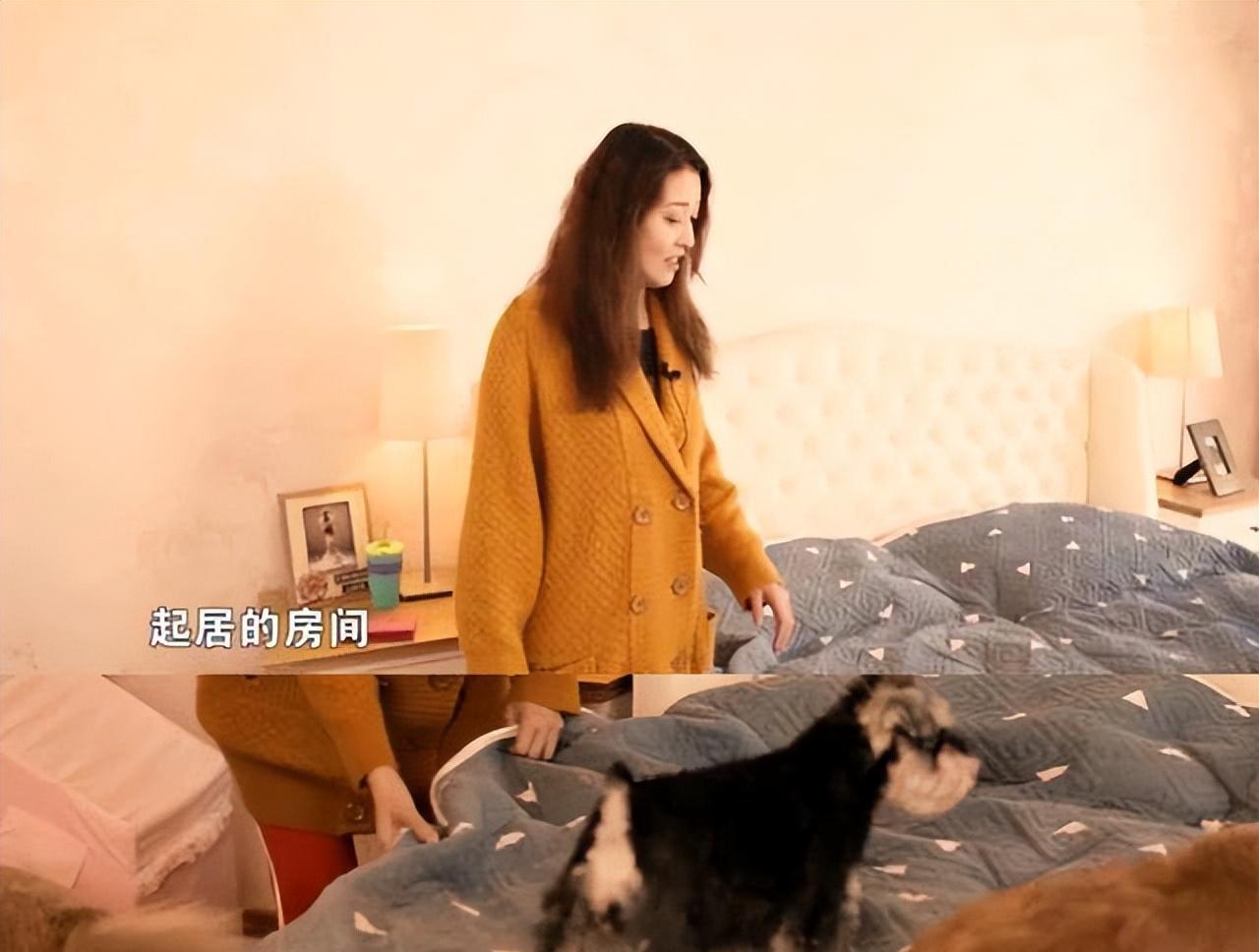 雁江区政务网_雁江区门户网_雁江区人民政府信息网