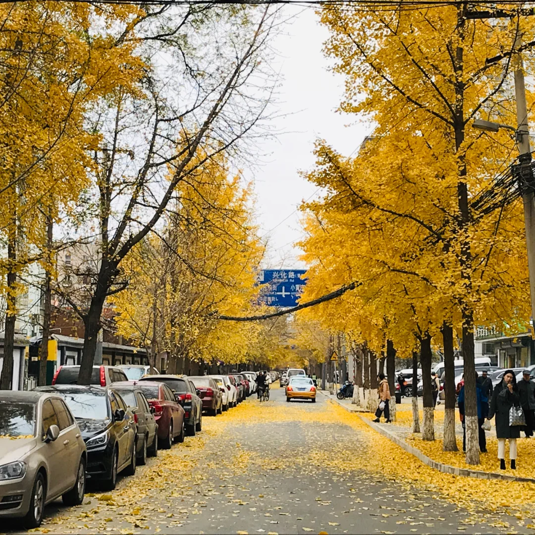 朝阳医院大望路分院_北京朝阳区大医院有哪些_北京朝阳区大屯医院