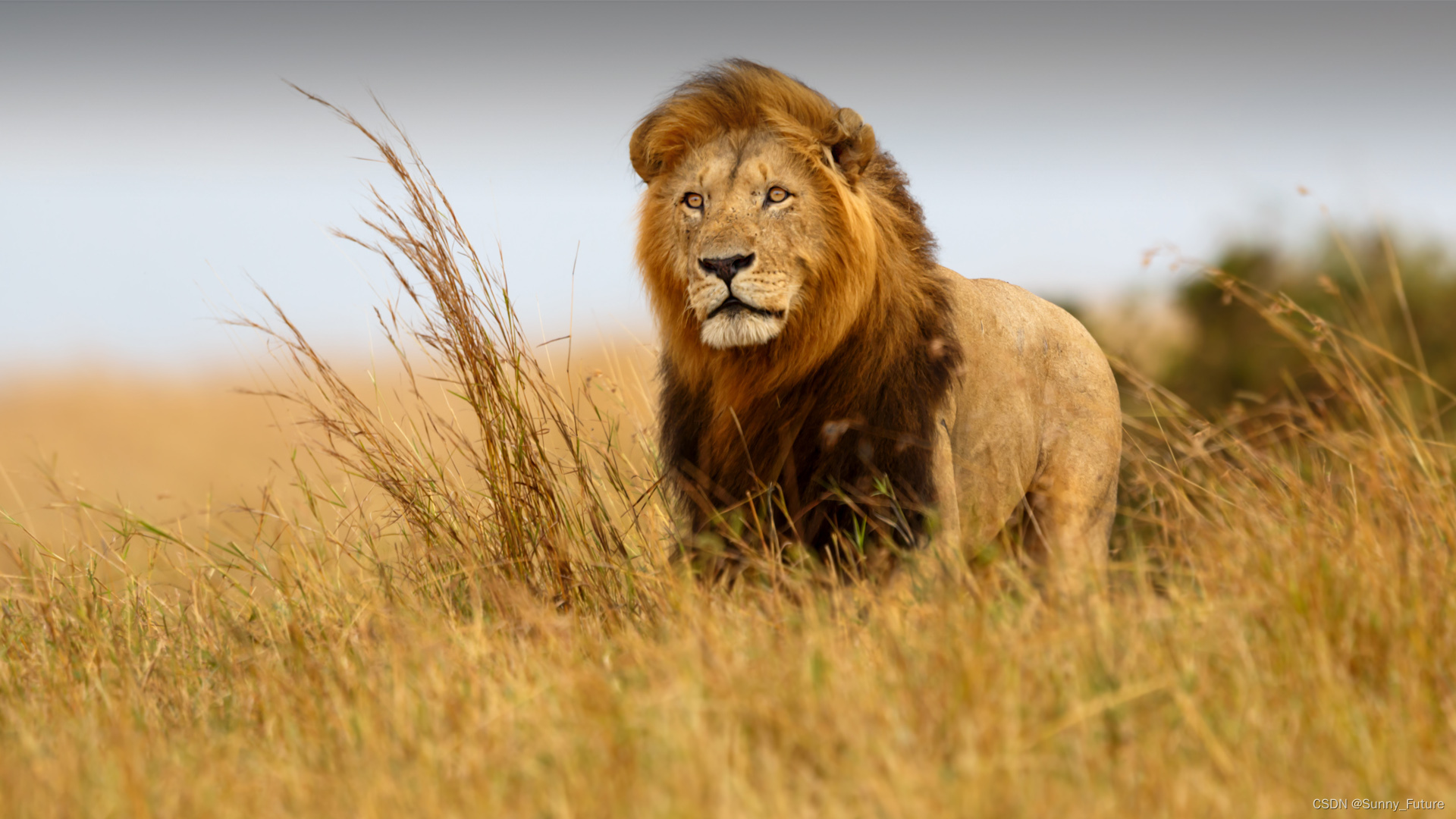 win10 qt_win10 qt_win10 qt