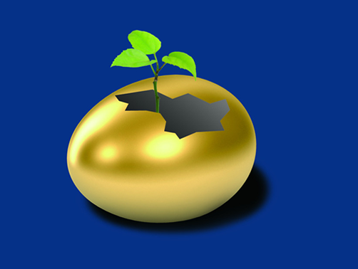 杭州绿云公司_杭州绿云工资高吗_杭州绿云集团