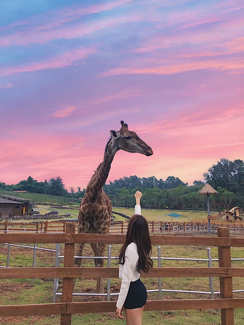 大白菜win8.1系统下载_大白菜安装win8_大白菜下载win10