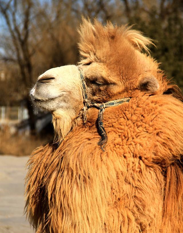 查看电脑运行进程_电脑查看进程命令_进程查看运行电脑文件