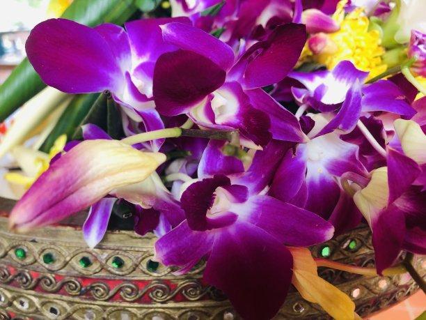 78oa办公系统破解版_电脑办公软件破解_办公破解软件