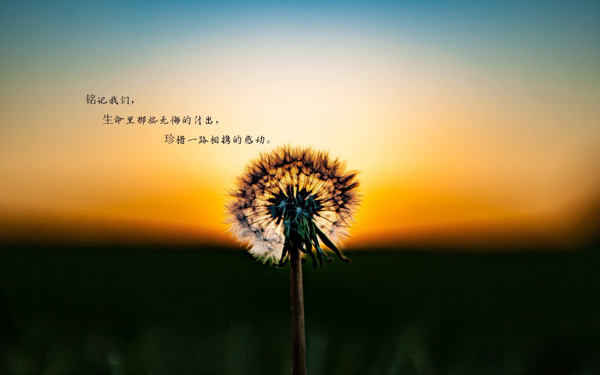 桌面照片夹_夹桌面图片文件怎么保存_桌面图片在那个文件夹