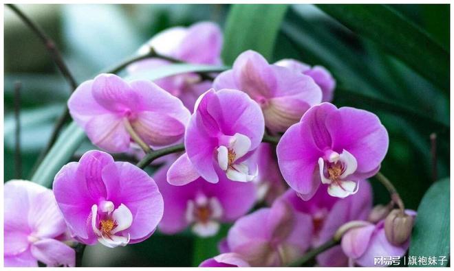 新视通 加密_新视通 加密_新视通 加密