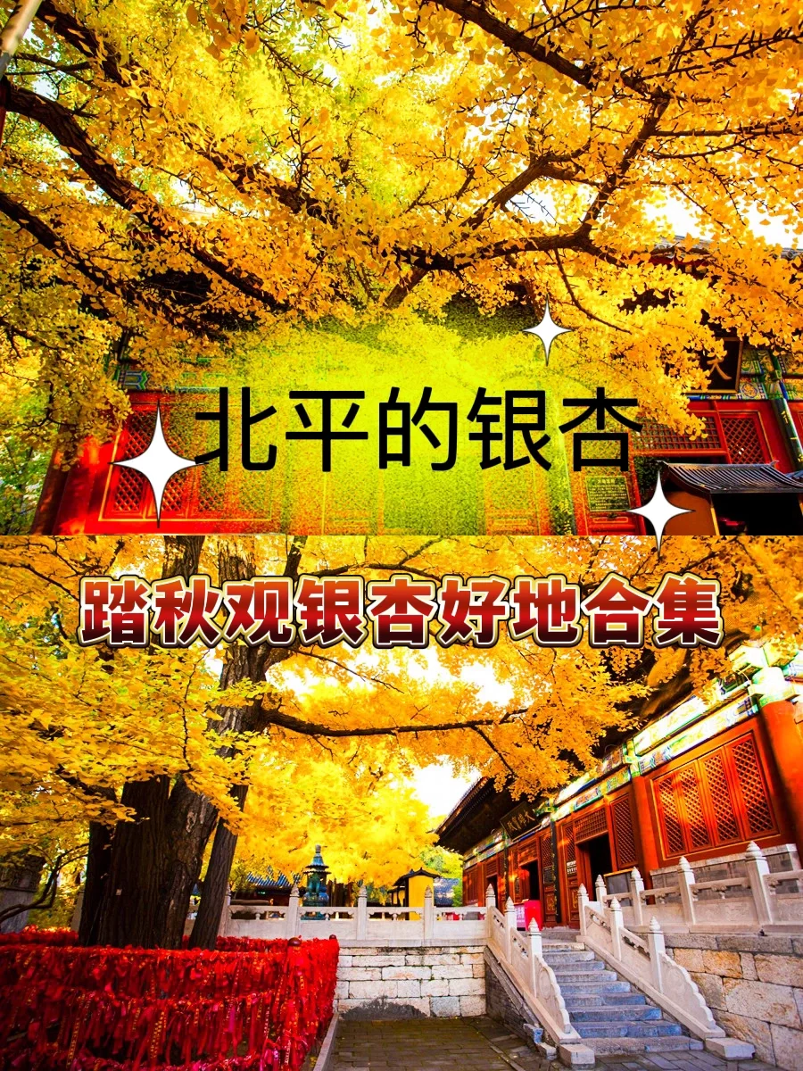 freemalaysiatoday_freemalaysiatoday_freemalaysiatoday