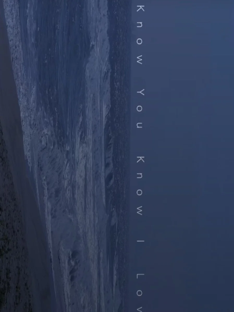 魅魔狩猎手机版下载教程安装_教程安装包_mapinfo16安装教程