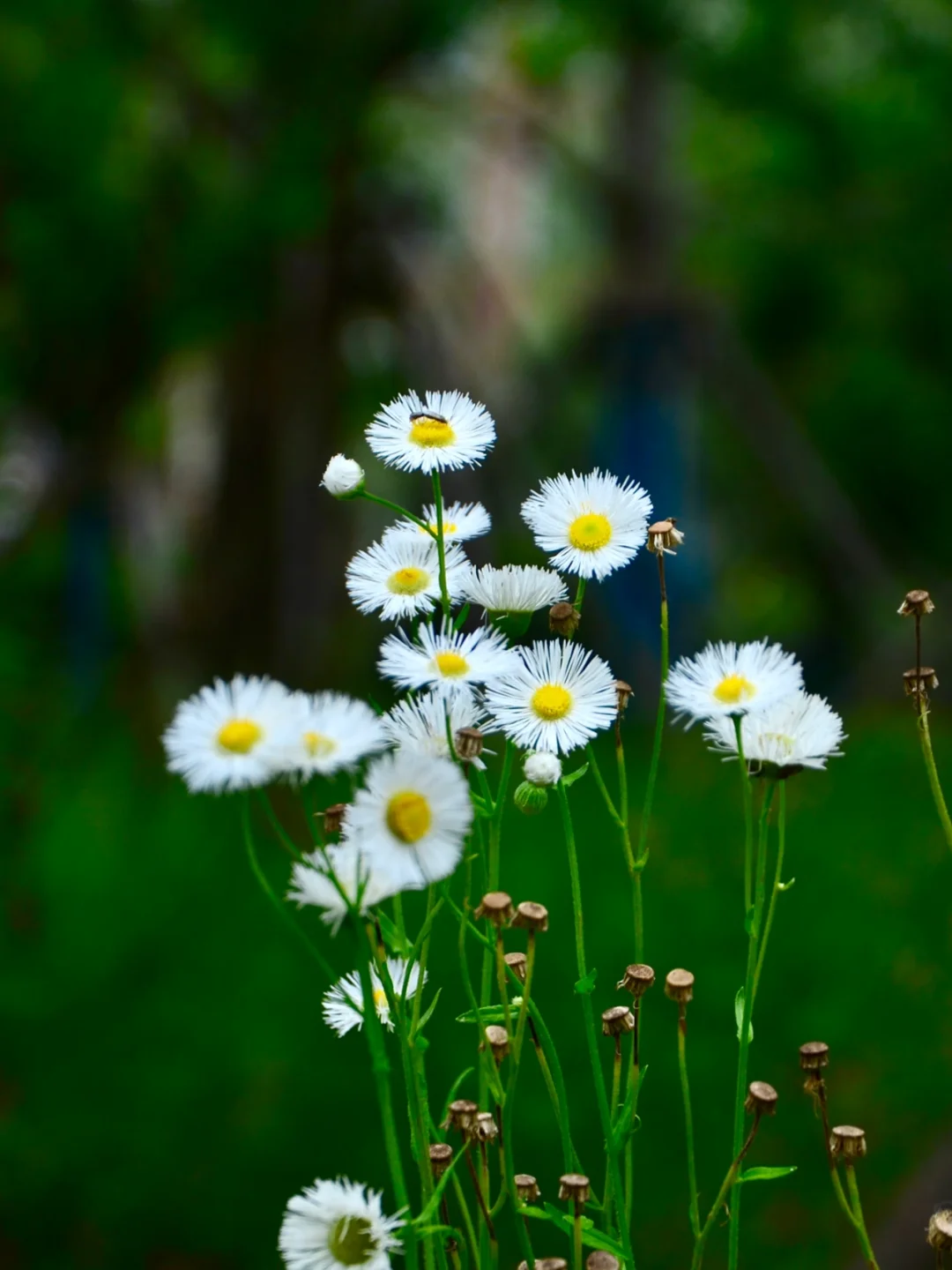 相机恢复储存卡数据怎么恢复_相机储存卡数据恢复_照相机卡数据恢复