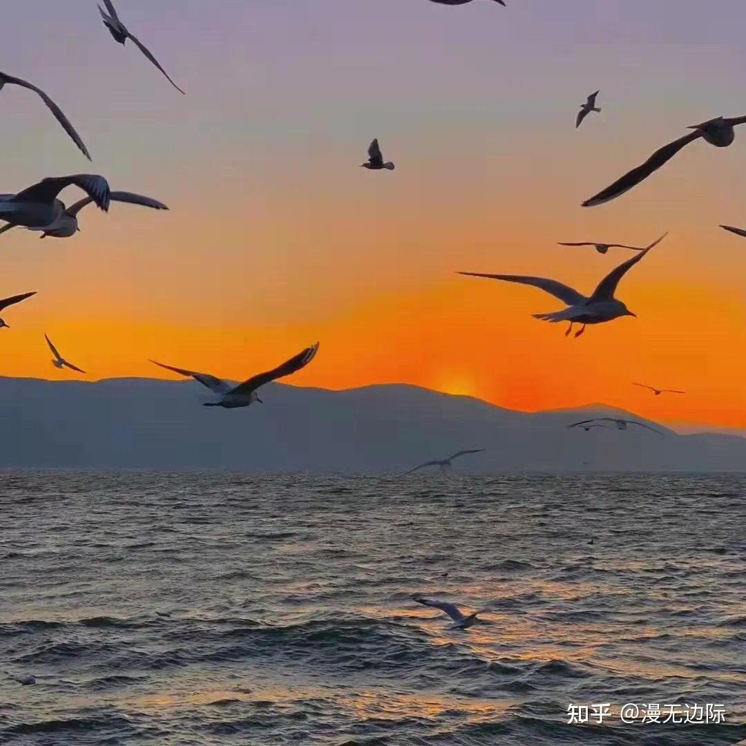 linux书籍推荐 知乎_linux比较好的书_知乎书籍推荐