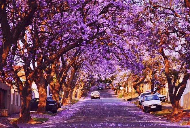 cad自动保存文件夹_cad自动保存文件格式是什么_自动保存cad怎么打开