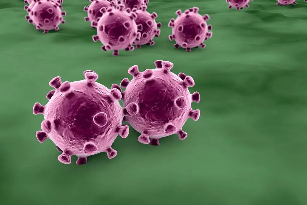 病毒分类计算机种有哪几种_计算机病毒的分类有几种_计算机病毒分类方法