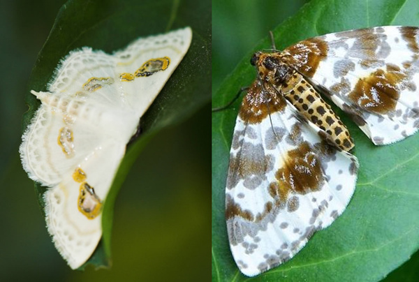 initsetting.exe_initsetting.exe_initsetting.exe