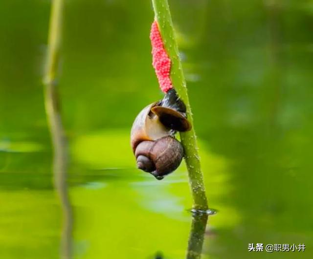 initsetting.exe_initsetting.exe_initsetting.exe