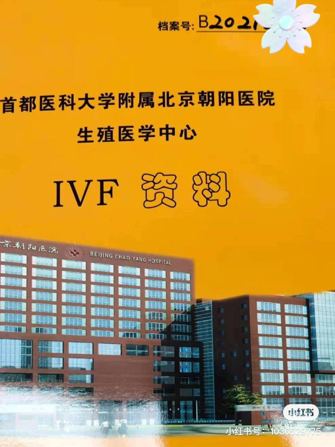 北京朝阳医院 挂号_北京朝阳医院号好挂吗_朝阳挂号医院北京分院电话