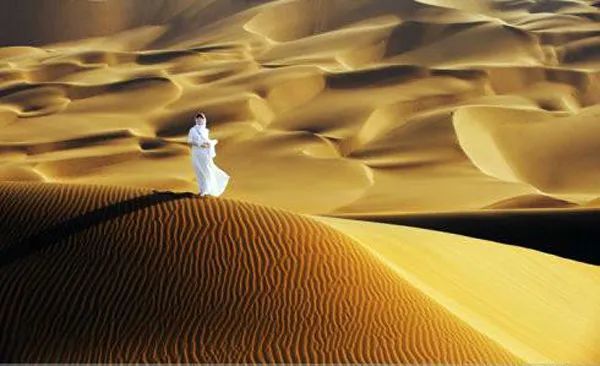 lanmp wdcp-LanmpWdcp：从新手的困扰到成就感的收获，你也能做到