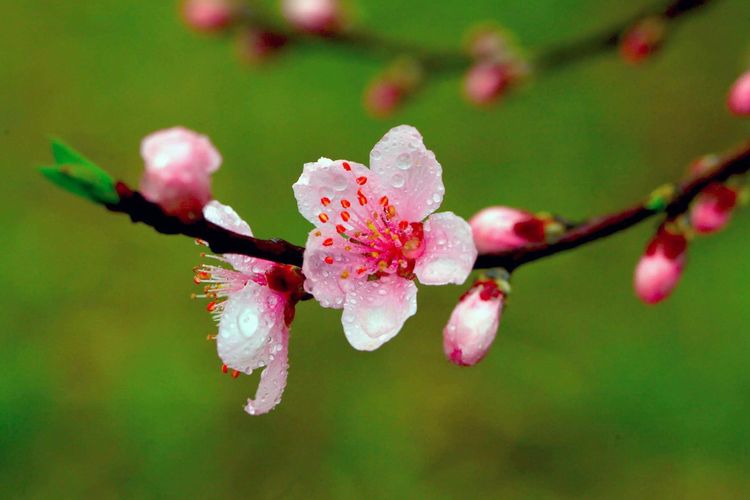 微云查看记录：承载青春记忆的时光机，打开尘封的过去