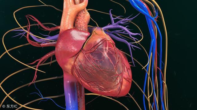 护理常规冠心病护理措施_冠心病护理常规_冠心病疾病护理常规