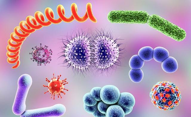 儿童肺炎输液治疗时间_儿童肺炎输液速度_小儿肺炎输液一般输几天最好