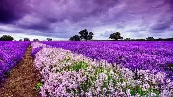 维也纳酒店绿云系统怎样安装_维也纳酒店绿云系统安装_维也纳酒店绿云系统