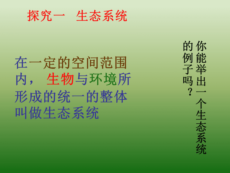 ecosystem是什么意思-探索生态系统：自然区域中生物与环境的相互依存奇迹