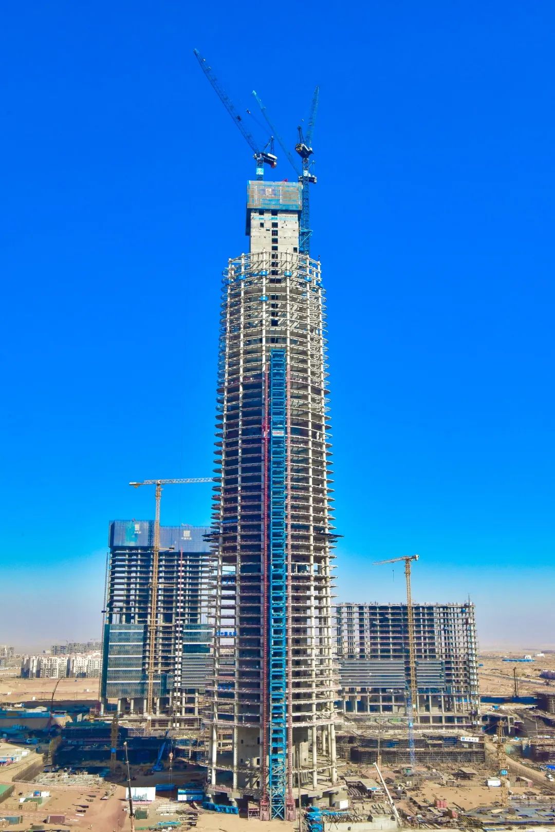 牛的免疫方案_犇牛病毒专杀免疫软件usplpk清除 修复工具_免疫系统清除病毒