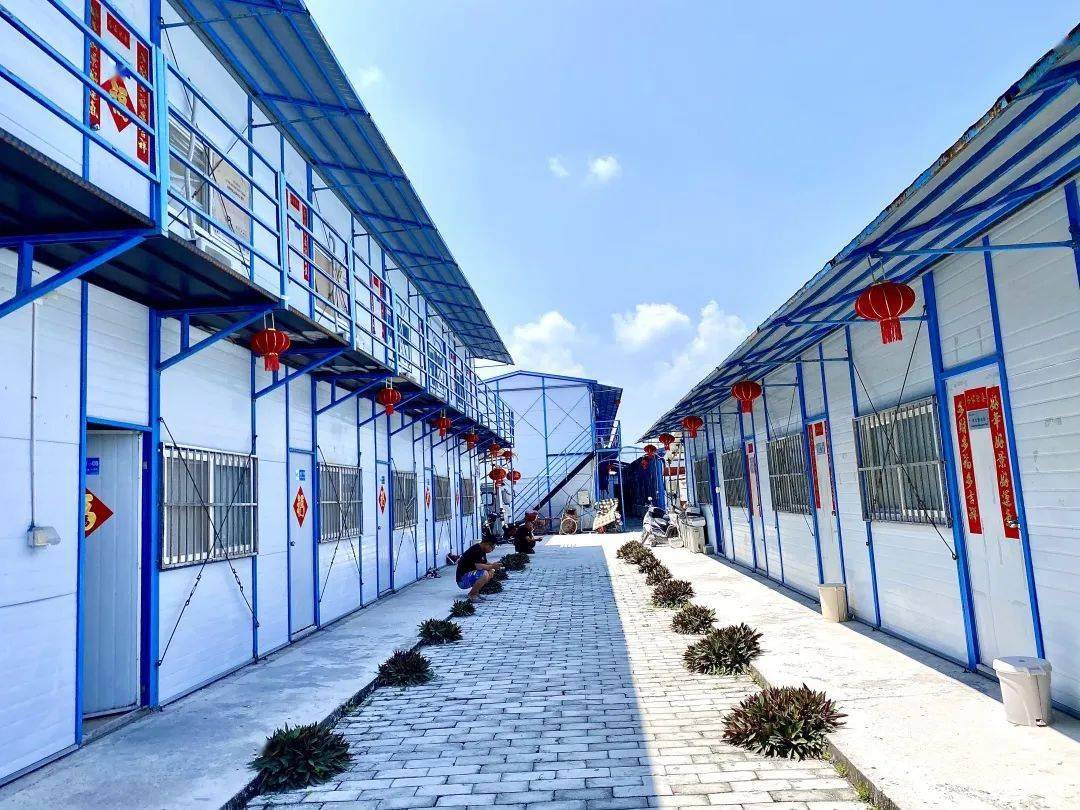 免疫系统清除病毒_犇牛病毒专杀免疫软件usplpk清除 修复工具_牛的免疫方案