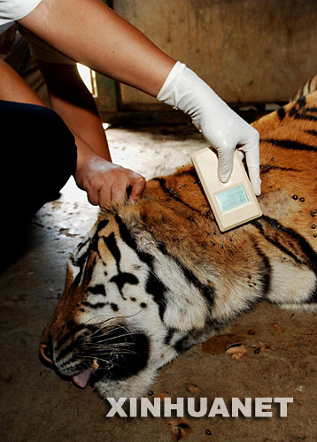 甘肃省身份证丢失_甘肃身份证丢失网上怎么补办_甘肃省身份证挂失声明