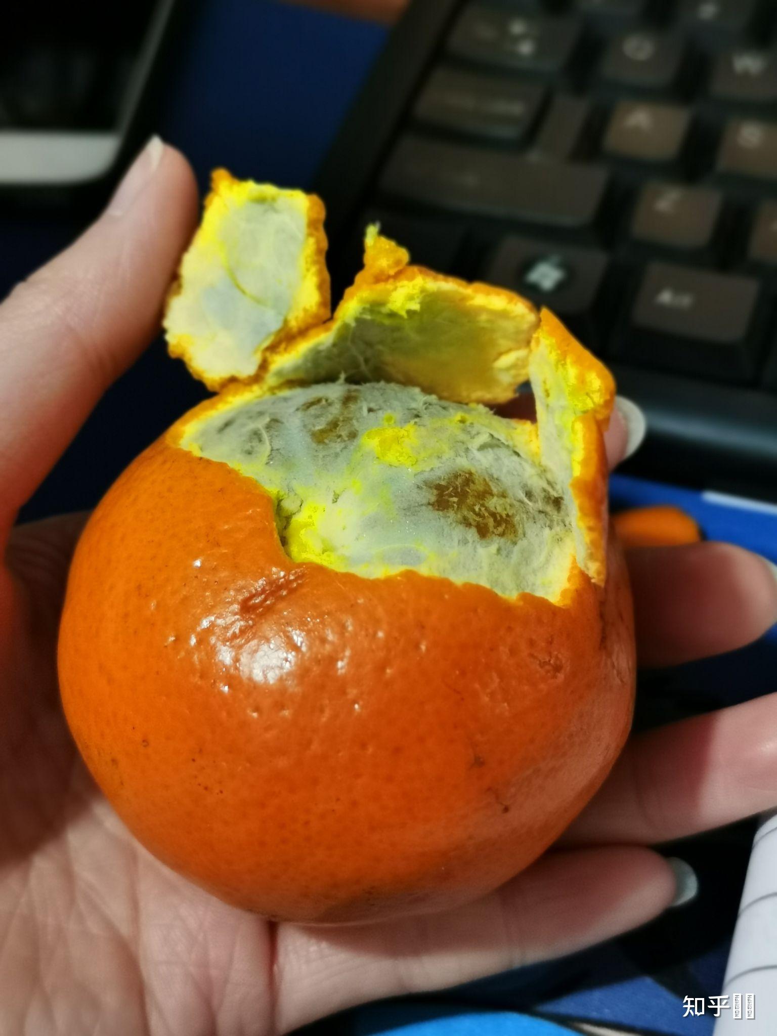 婴儿白眼球发蓝怎么回事_婴儿白眼珠子发蓝_婴儿的白眼珠发蓝