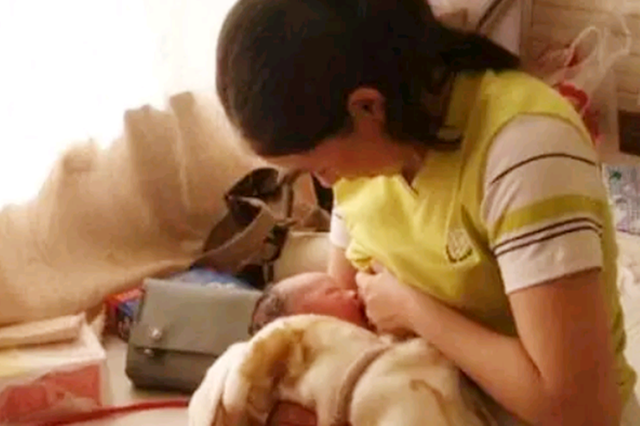 婴儿白眼珠子发蓝_婴儿白眼球发蓝怎么回事_婴儿的白眼珠发蓝