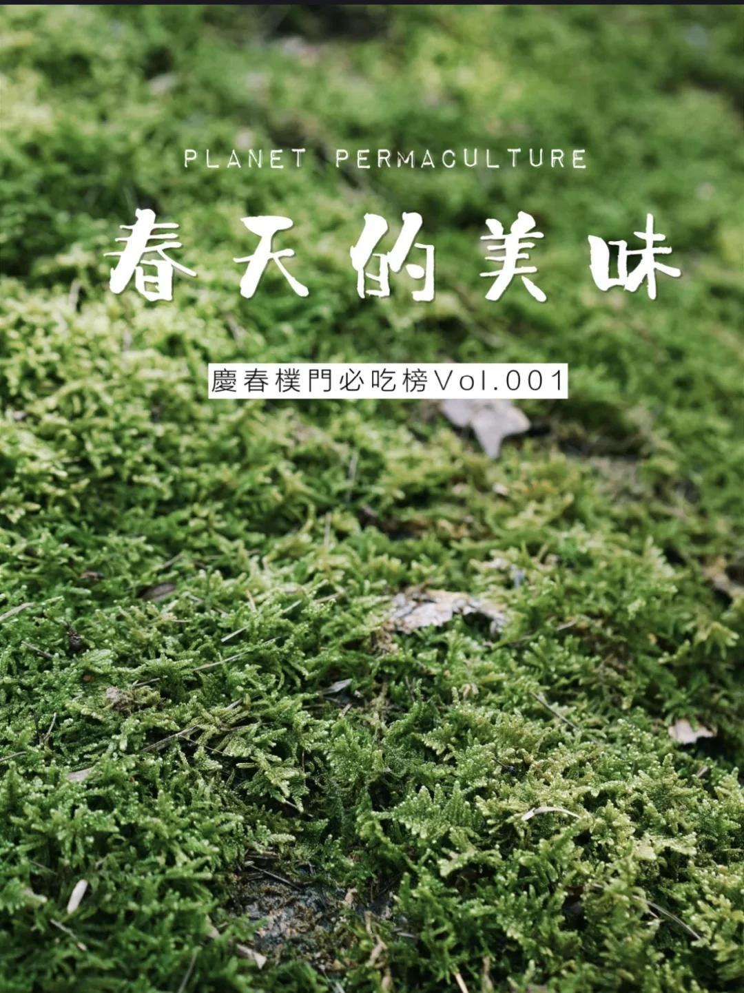 专利授权号_sreng2 授权号_天空tv授权号