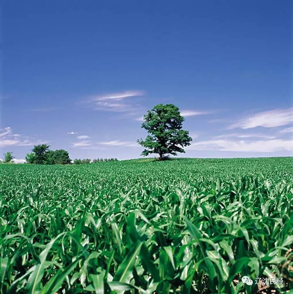 专利授权号_sreng2 授权号_天空tv授权号